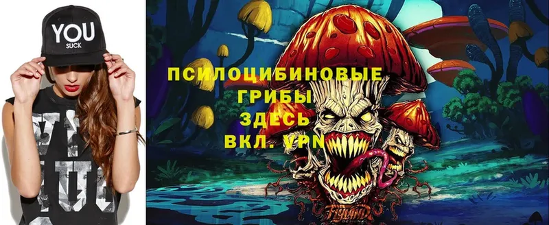 мега зеркало  Городовиковск  Галлюциногенные грибы Psilocybe  где купить наркоту 